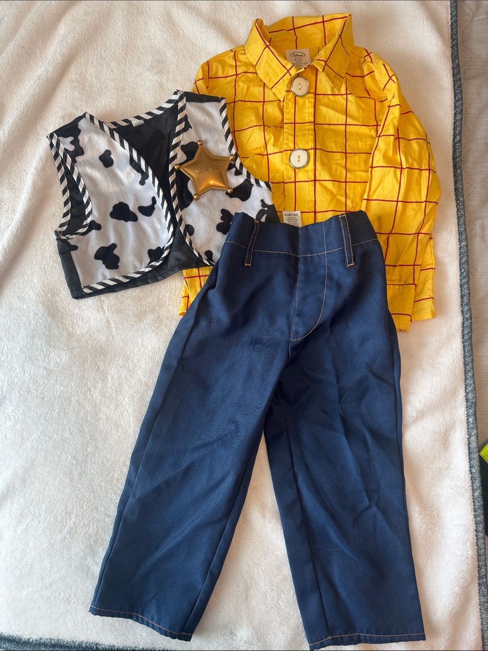 Disney Woody Costume